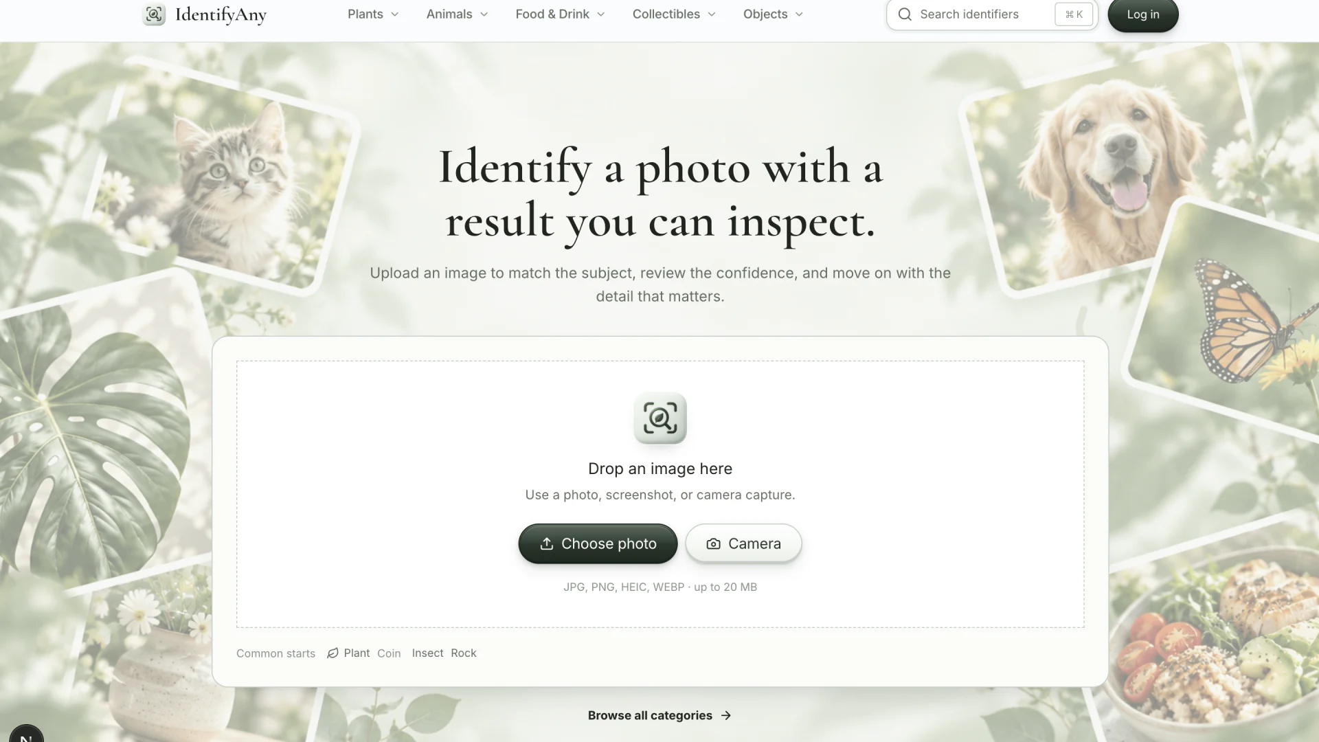 IdentifyAny photo identification website home page